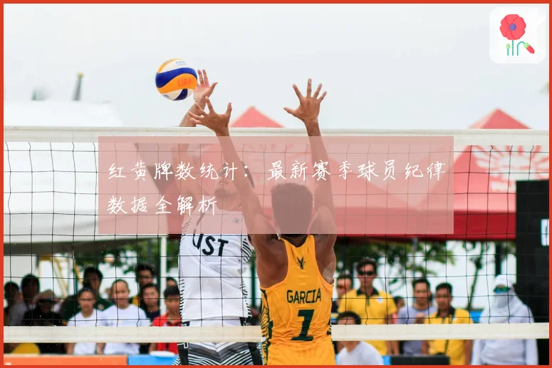 红黄牌数统计：最新赛季球员纪律数据全解析