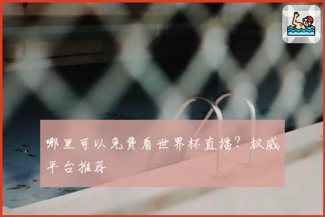 哪里可以免费看世界杯直播？权威平台推荐