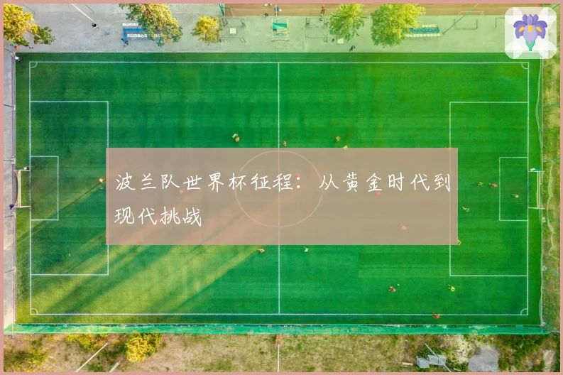 波兰队世界杯征程：从黄金时代到现代挑战