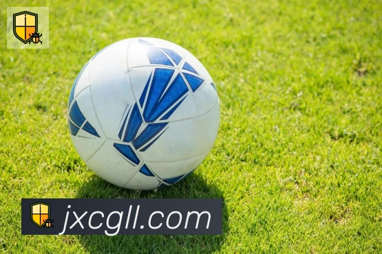 爱游戏官网荣誉