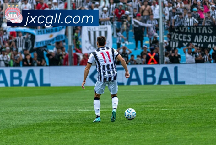 爱游戏官网荣誉