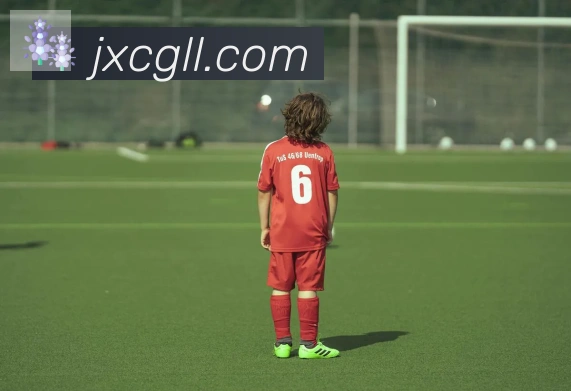 爱游戏官网荣誉